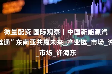 微量配资 国际观察丨中国新能源汽车“链通”东南亚共赢未来_产业链_市场_许海东